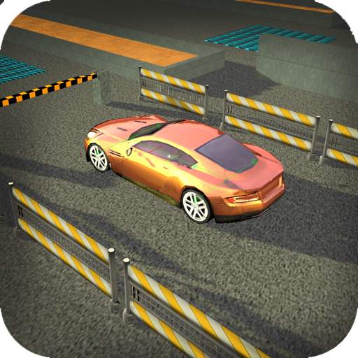 Real Car Shopping Mall Parking 1.0