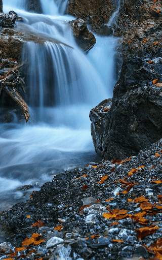 Forest Live Wallpaper HD screenshot 8