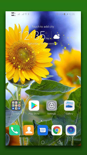 Sunflower Live Wallpaper screenshot 1