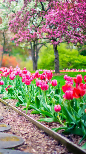 Beautiful Spring Garden APUS Live Wallpaper screenshot 4
