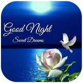 Good Night Stickers 1.0