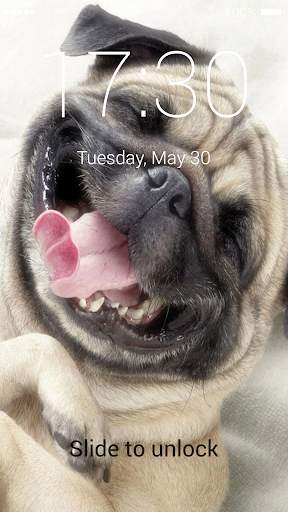 Pug Lock Screen screenshot 5