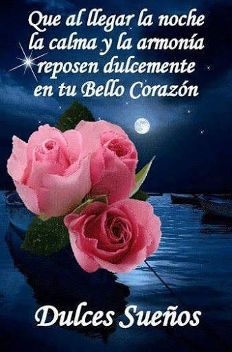 Buenas Noches Fotos Rosa GIF screenshot 2