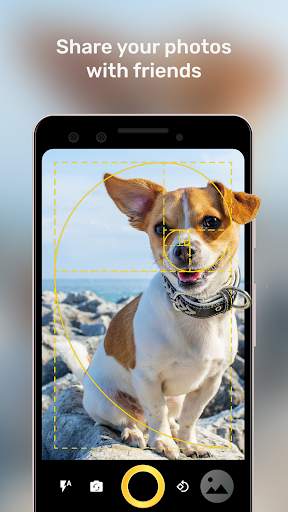 Golden Ratio Camera screenshot 4