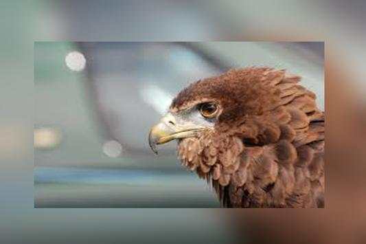 Camera Of HD screenshot 5