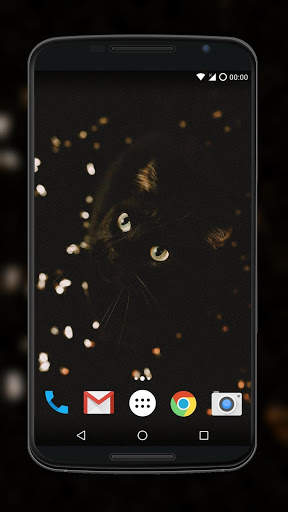 Cute Cat Wallpaper screenshot 4