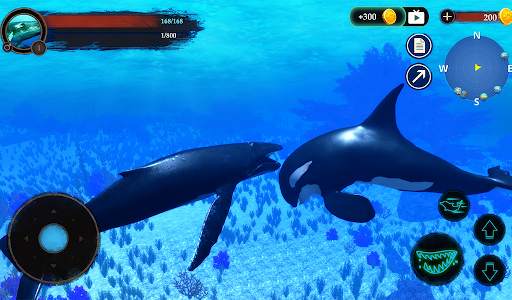 The Humpback Whales screenshot 9