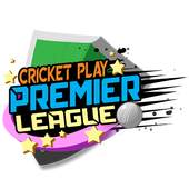 Cricket Play Premier League 1.4