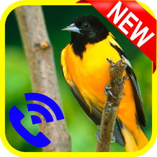 Free Bird Songs icon