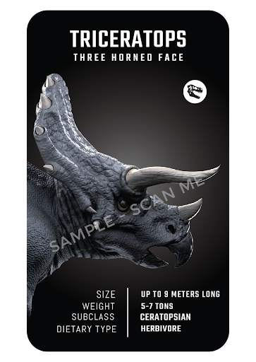 Dinosaur 4D  screenshot 6