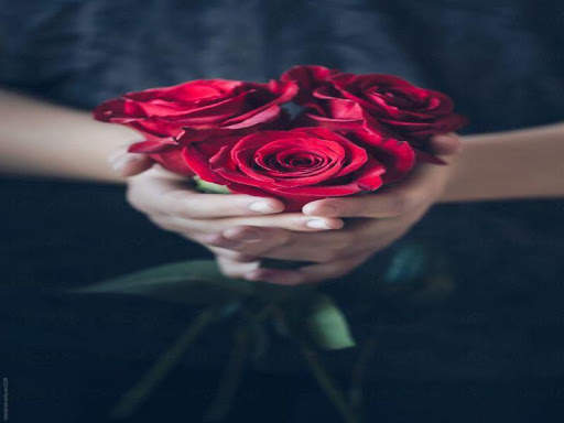 3D Red Rose Images 2020 4 تصوير الشاشة
