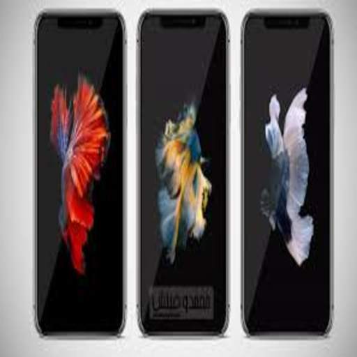 Wonderful wallpapers for 2020 screen 1.0