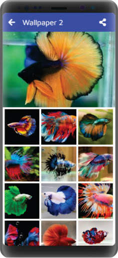 Wallpaper Ikan Cupang New screenshot 3