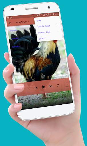 Chicken Ringtones screenshot 3