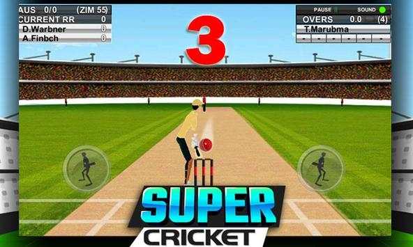 Super Cricket Championship screenshot 2