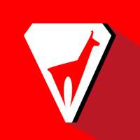 Vola Advice