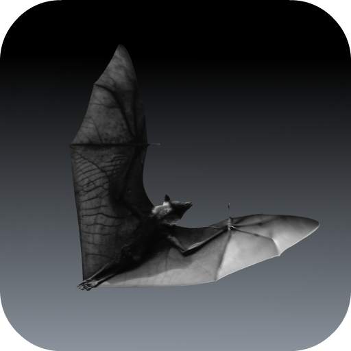 Bat Sounds 1.0