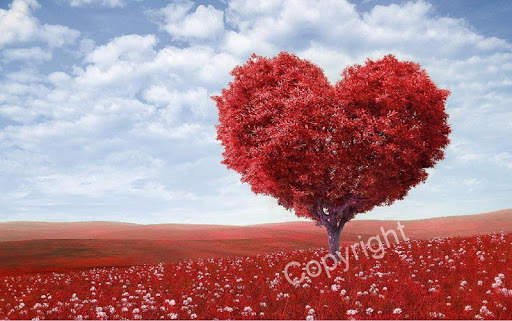 Pro Watermark Free screenshot 3