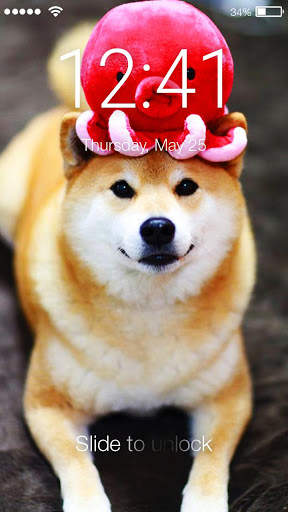 Funny Shiba Inu Dog Screen Lock screenshot 1