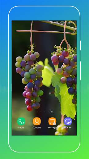 Grapes Wallpapers HD screenshot 8