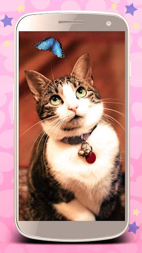 Cute cats live wallpaper. Cute dogs, unicorns screenshot 5