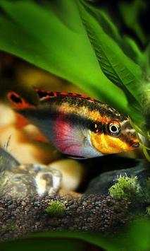 Fishes Aquarium screenshot 2