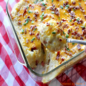 Casserole Recipes icon