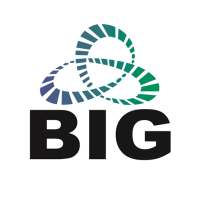BIG icon