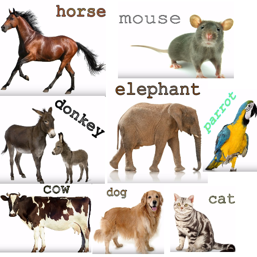 Animal Sounds icon