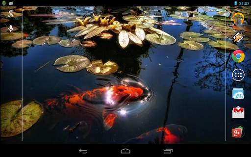 Koi Fish in the Pond screenshot 4