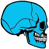Anatomy of the Skeletal System icon