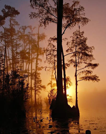 Florida Wallpaper Travel screenshot 8