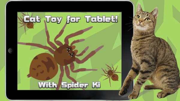 Cat Toys -SpiderHunt Cat Games screenshot 2