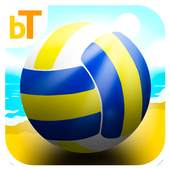 Beach Volleyball Game 1.0