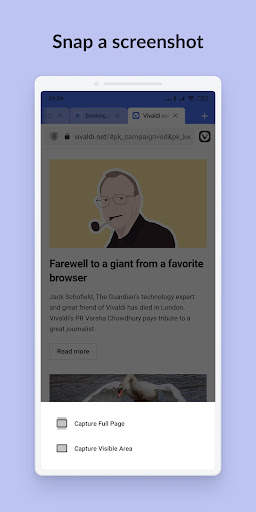 Vivaldi Browser Snapshot screenshot 6