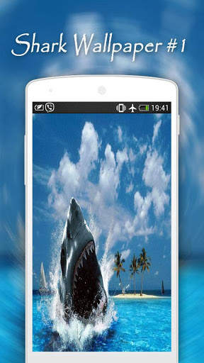 Shark Wallpapers screenshot 2