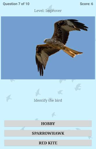 British Birds ID Quiz Pro screenshot 21
