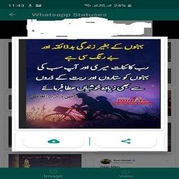 Whatsappp Status Saver Pro screenshot 3