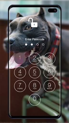 Pitbull Wallpapers & Lock Screen 3 تصوير الشاشة