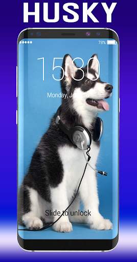 Husky Lock Screen 1 تصوير الشاشة