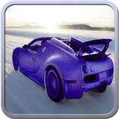 Game driving in the snow 1.0