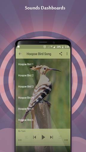 Hoopoe Bird Song скриншот 2
