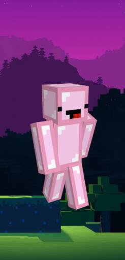Skeppy Skin For Minecraft screenshot 4