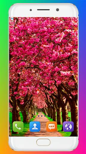 Spring Wallpaper HD скриншот 5