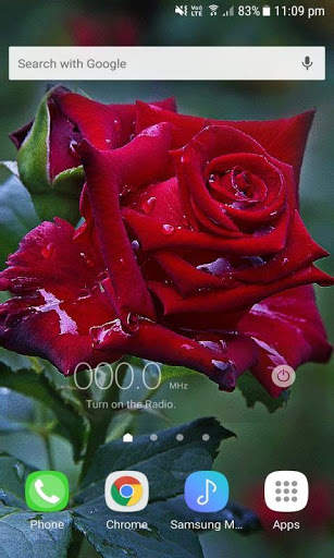 Red Rose Live Wallpaper screenshot 2