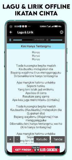 OST Ikatan Cinta Offline Lirik screenshot 6