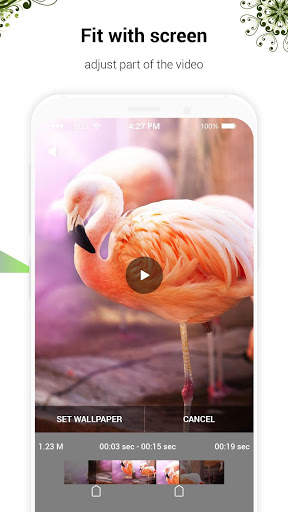 HD Animal Video Wallpaper screenshot 3