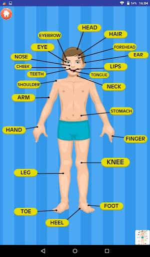 Learn About Body Parts screenshot 13