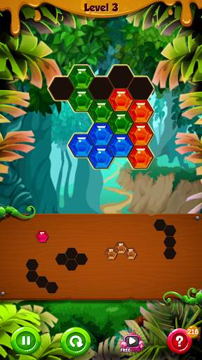 Express Pro Hexa Puzzle Fill screenshot 2