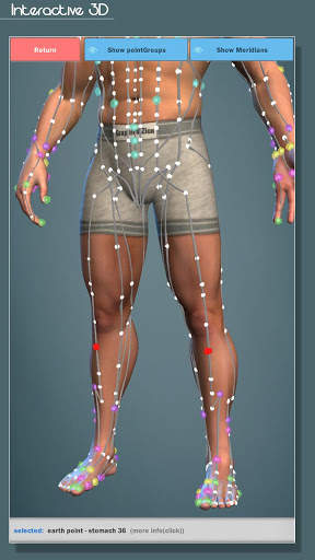 Easy Acupuncture 3D -LITE screenshot 2